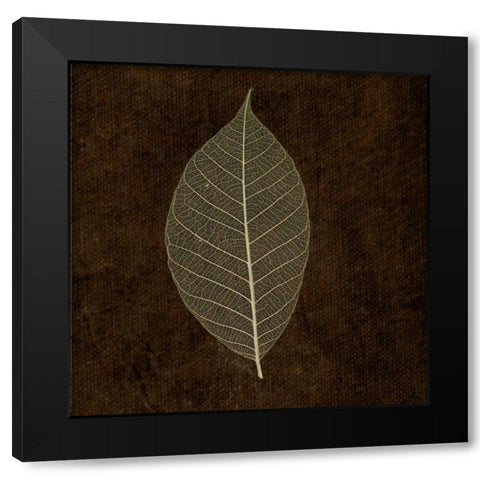 Spice Gold Leaf Black Modern Wood Framed Art Print by Greene, Taylor
