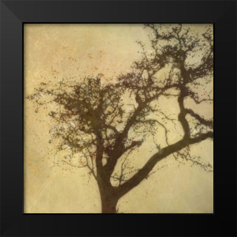 Silo Beauty Tree Black Modern Wood Framed Art Print by Greene, Taylor