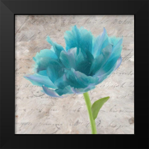 Blue Scripted Floral II Black Modern Wood Framed Art Print by Greene, Taylor