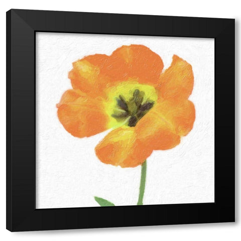 CIRCUS ROSE Black Modern Wood Framed Art Print with Double Matting by Greene, Taylor