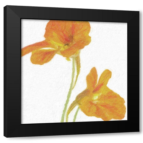TANGERINE FLORAL PAIR Black Modern Wood Framed Art Print with Double Matting by Greene, Taylor