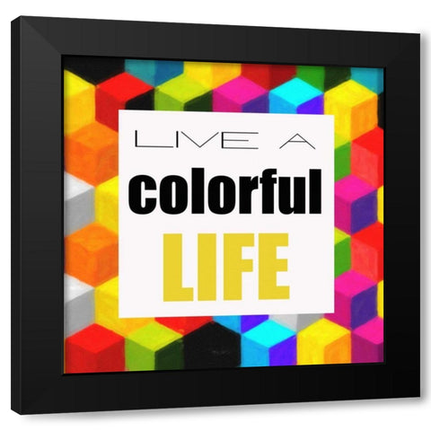 Live A Colorful Life Black Modern Wood Framed Art Print with Double Matting by Greene, Taylor