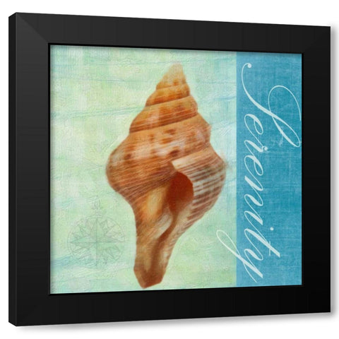 SERENITY Black Modern Wood Framed Art Print with Double Matting by Greene, Taylor