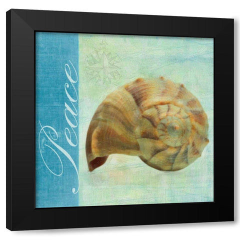 PEACE SHELL Black Modern Wood Framed Art Print with Double Matting by Greene, Taylor