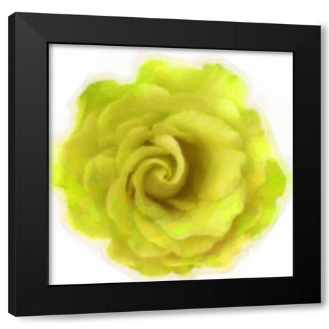 Yello Rose Black Modern Wood Framed Art Print by Greene, Taylor