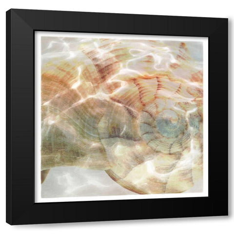 Shell Abstract 1 Black Modern Wood Framed Art Print with Double Matting by Greene, Taylor