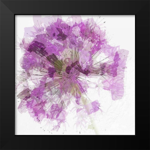 Modern Lilac I Black Modern Wood Framed Art Print by Greene, Taylor