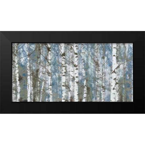 Birch Scape Black Modern Wood Framed Art Print by Greene, Taylor