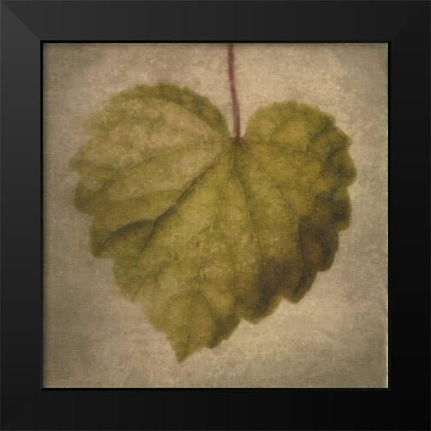 Leaf Silhouette Black Modern Wood Framed Art Print by Greene, Taylor