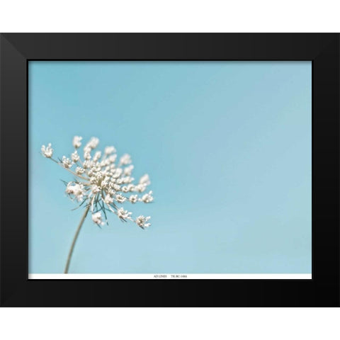 Lace 1 Blue Black Modern Wood Framed Art Print by Telik, Tracey