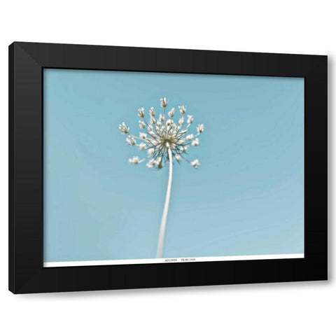 Lacey 2 Black Modern Wood Framed Art Print by Telik, Tracey