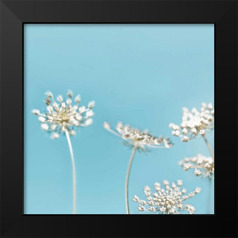 Queens 40 Black Modern Wood Framed Art Print by Telik, Tracey