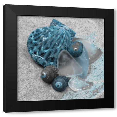 Blue Shells Black Modern Wood Framed Art Print with Double Matting by Pazan, Tony