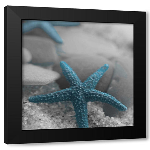 Blue Star Black Modern Wood Framed Art Print with Double Matting by Pazan, Tony