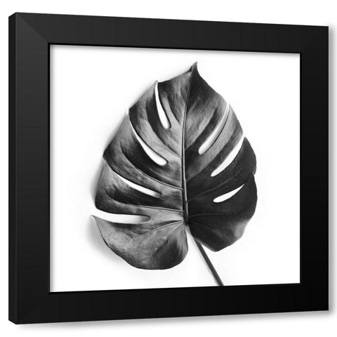 Monstera Black Modern Wood Framed Art Print with Double Matting by Urban Epiphany