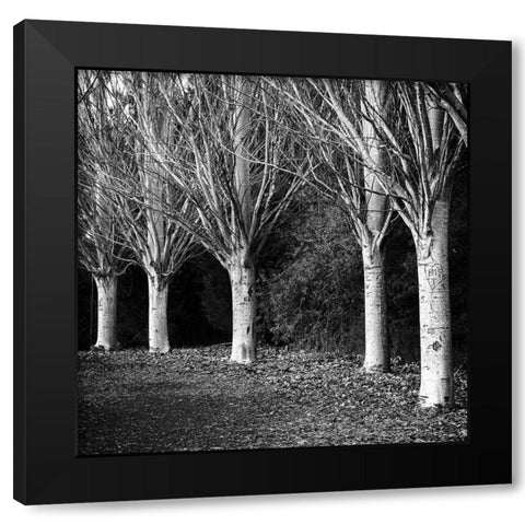 Winter Avenue Square Black Modern Wood Framed Art Print by Urban Epiphany