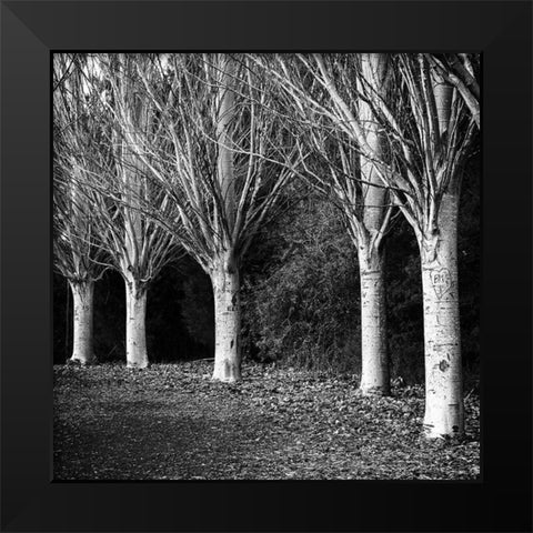 Winter Avenue Square Black Modern Wood Framed Art Print by Urban Epiphany