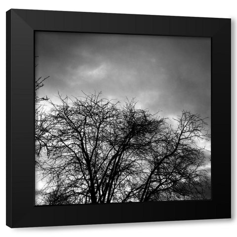 Winter Sky Square Black Modern Wood Framed Art Print with Double Matting by Urban Epiphany