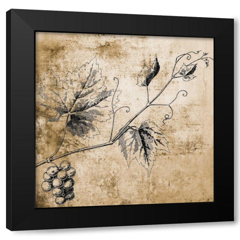 Grape Vine Black Modern Wood Framed Art Print with Double Matting by Brown, Victoria