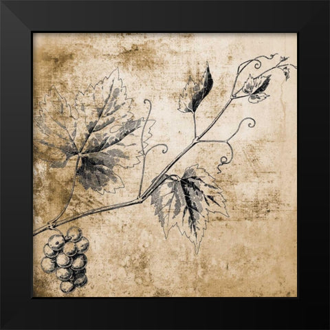 Grape Vine Black Modern Wood Framed Art Print by Brown, Victoria