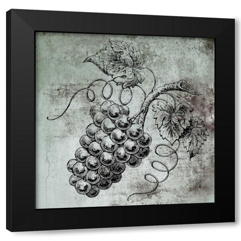 Vine Grapes Black Modern Wood Framed Art Print with Double Matting by Brown, Victoria