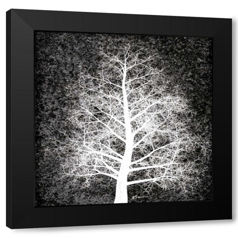 Nordic Spirit 4 Black Modern Wood Framed Art Print by Brown, Victoria
