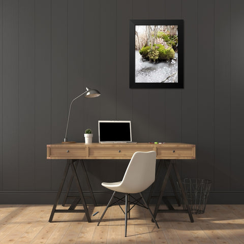 Winter Bog Black Modern Wood Framed Art Print by Unknown