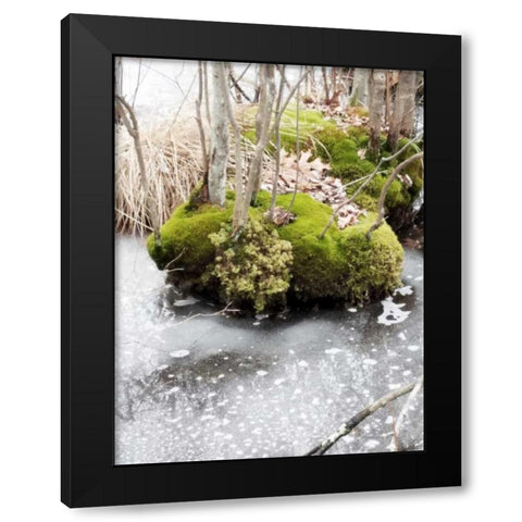 Winter Bog Black Modern Wood Framed Art Print with Double Matting by Unknown