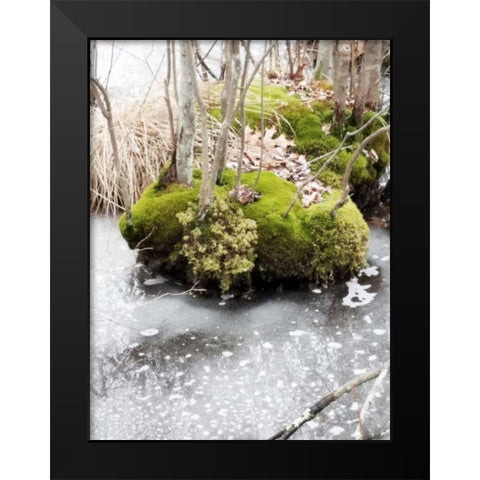 Winter Bog Black Modern Wood Framed Art Print by Unknown