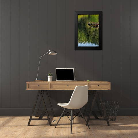 A Floating Garden Black Modern Wood Framed Art Print by Foschino, Suzanne