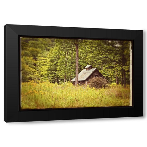 Country Barn 1 Vintage Black Modern Wood Framed Art Print by Foschino, Suzanne