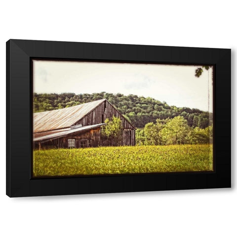 Country Barn 4 Vintage Black Modern Wood Framed Art Print with Double Matting by Foschino, Suzanne