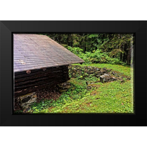 Deep Woods Lean To Vintage Black Modern Wood Framed Art Print by Foschino, Suzanne