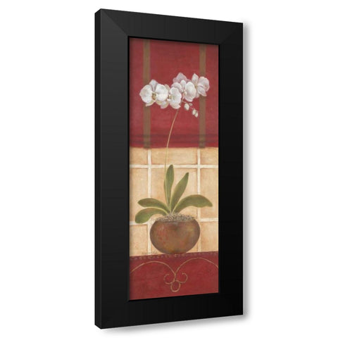 Window Wonders I Black Modern Wood Framed Art Print by Tava Studios