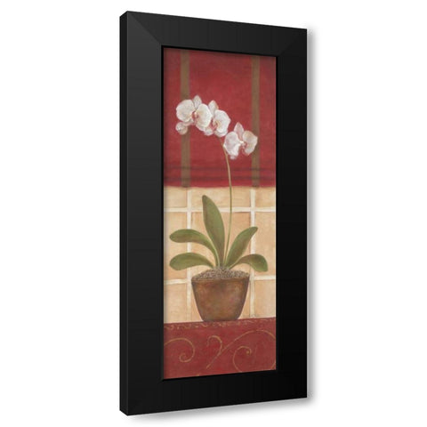 Window Wonders II Black Modern Wood Framed Art Print by Tava Studios