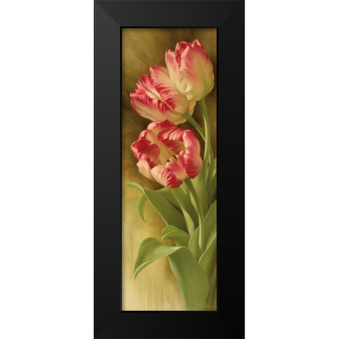Springs Parrot Tulip I Black Modern Wood Framed Art Print by Levashov, Igor