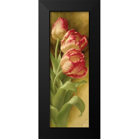 Springs Parrot Tulip II Black Modern Wood Framed Art Print by Levashov, Igor