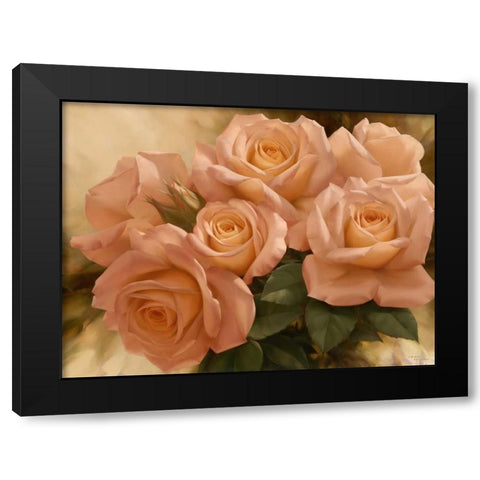 Peach Rose Splendor I Black Modern Wood Framed Art Print with Double Matting by Levashov, Igor