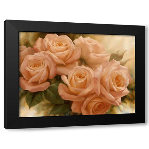 Peach Rose Splendor II Black Modern Wood Framed Art Print by Levashov, Igor