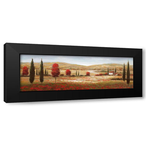 Tuscan Poppies I Black Modern Wood Framed Art Print with Double Matting by Nan