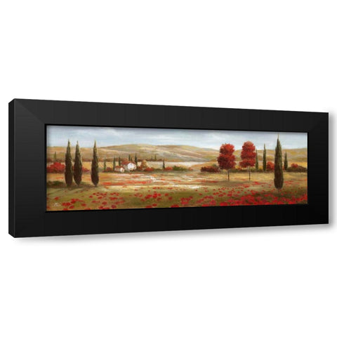 Tuscan Poppies II Black Modern Wood Framed Art Print with Double Matting by Nan
