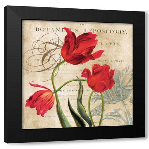 Botanists Black Modern Wood Framed Art Print by Robinson, Carol