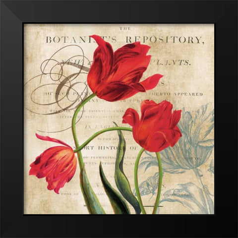 Botanists Black Modern Wood Framed Art Print by Robinson, Carol