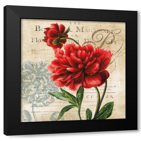 The Botanical Black Modern Wood Framed Art Print with Double Matting by Robinson, Carol