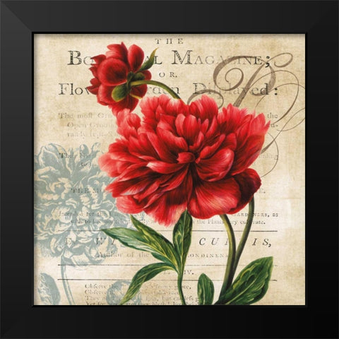 The Botanical Black Modern Wood Framed Art Print by Robinson, Carol