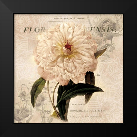 White Peony I Black Modern Wood Framed Art Print by Robinson, Carol