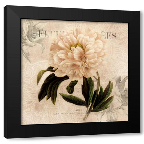 White Peony II Black Modern Wood Framed Art Print with Double Matting by Robinson, Carol