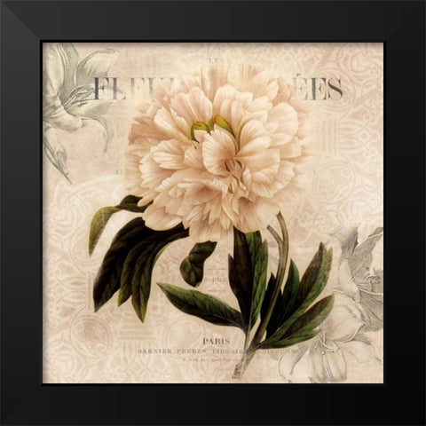 White Peony II Black Modern Wood Framed Art Print by Robinson, Carol