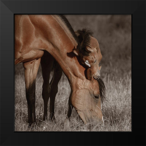 Unbroken Bond Black Modern Wood Framed Art Print by Van de Goor, Lars