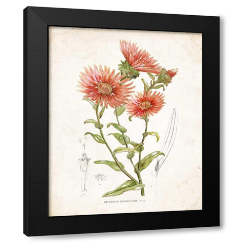 Botanical I Black Modern Wood Framed Art Print with Double Matting by Nan